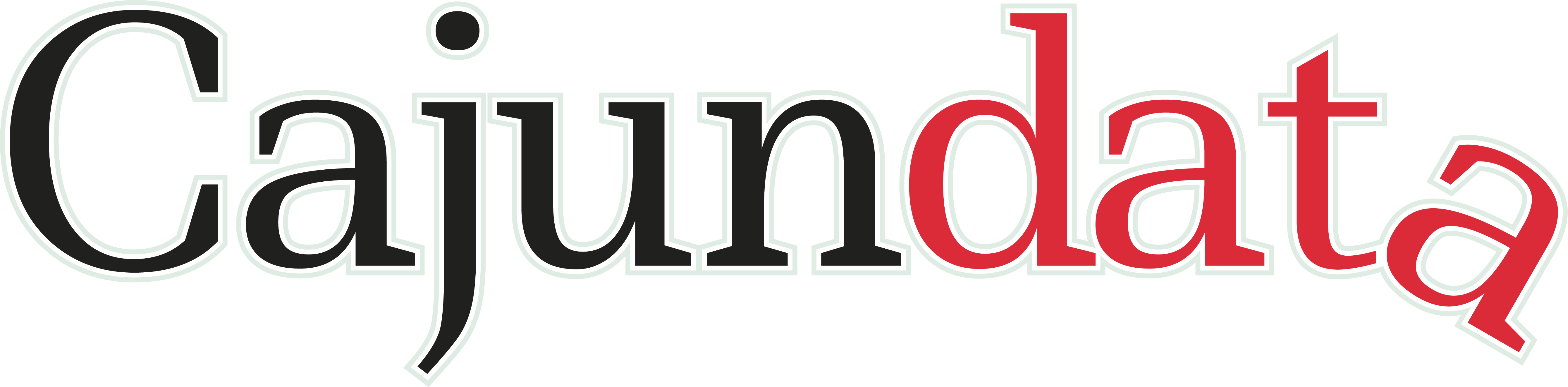 Cajun Data Solutions